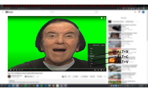 Dope Video Speed Changer  from Chrome web store to be run with OffiDocs Chromium online