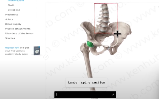 DoSearch. Screenshot to GPT 4 Vision  from Chrome web store to be run with OffiDocs Chromium online