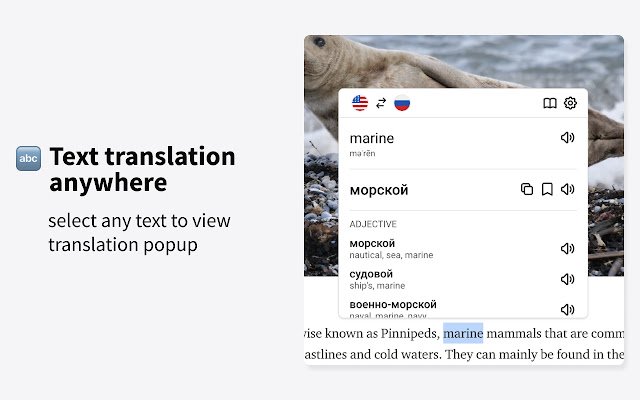 DoubleSubs  from Chrome web store to be run with OffiDocs Chromium online