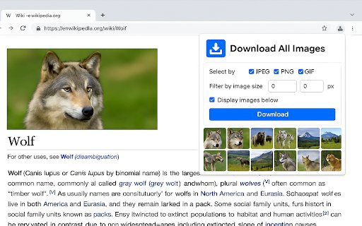 Download All Images  from Chrome web store to be run with OffiDocs Chromium online