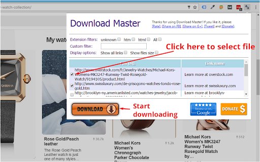 Download Master Free Download Manager  from Chrome web store to be run with OffiDocs Chromium online
