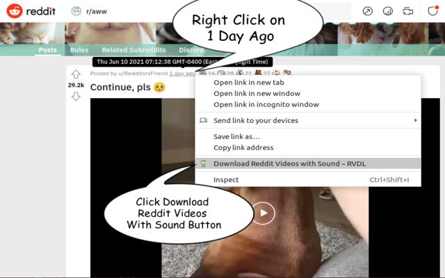 Download Reddit™ Videos ~ RVDL  from Chrome web store to be run with OffiDocs Chromium online
