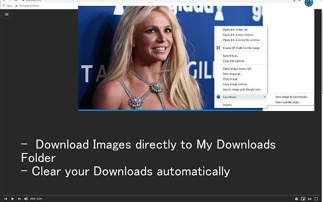 Downloads  from Chrome web store to be run with OffiDocs Chromium online
