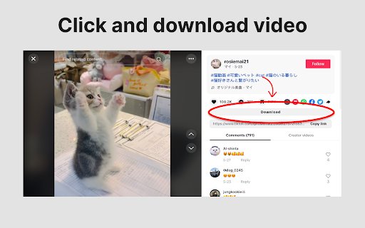 Download TikTok Video  from Chrome web store to be run with OffiDocs Chromium online