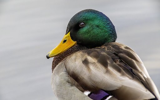 Drake  from Chrome web store to be run with OffiDocs Chromium online