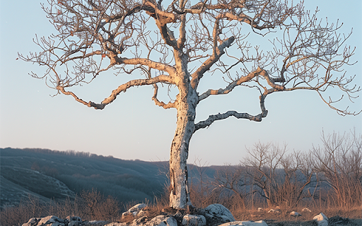 Dramanice Withered Tree in the Desert  from Chrome web store to be run with OffiDocs Chromium online