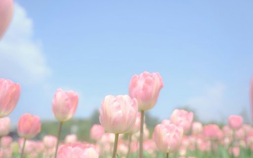Dreamy Bloom  from Chrome web store to be run with OffiDocs Chromium online