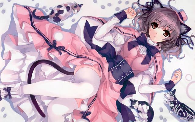 Dress Anime Pantyhose ຊຸດແຕ່ງງານຈາກຮ້ານເວັບ Chrome ທີ່ຈະດໍາເນີນການກັບ OffiDocs Chromium ອອນໄລນ໌