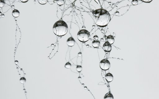 Drops of water on the wire from Chrome web store to be run with OffiDocs Chromium online Drops of water on the wire from Chrome web store to be run with OffiDocs Chromium online