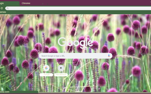 Drumstick Allium  from Chrome web store to be run with OffiDocs Chromium online
