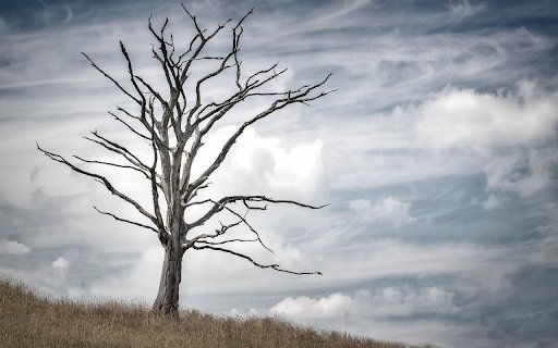 Dry tree  from Chrome web store to be run with OffiDocs Chromium online