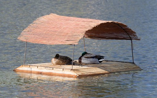 Duck Raft on the River from Chrome web store to be run with OffiDocs Chromium online Duck Raft on the River from Chrome web store to be run with OffiDocs Chromium online