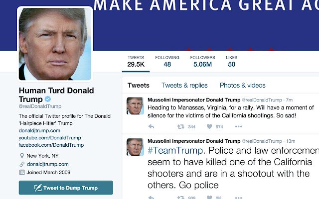 Dump Trump  from Chrome web store to be run with OffiDocs Chromium online