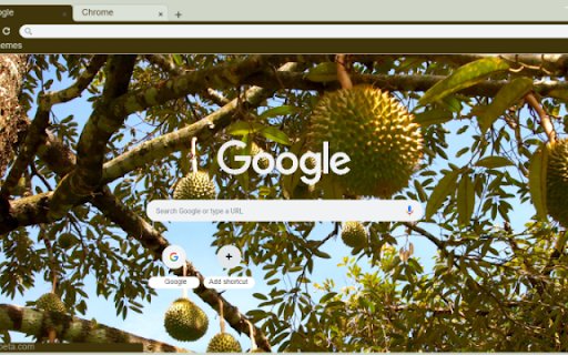 Durian Tree  from Chrome web store to be run with OffiDocs Chromium online