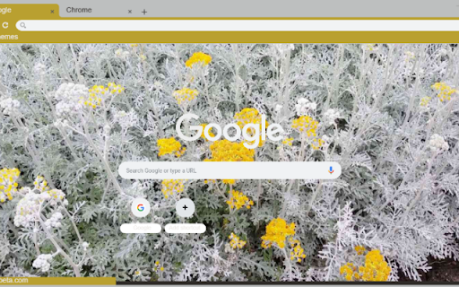Dusty Miller Silver  from Chrome web store to be run with OffiDocs Chromium online