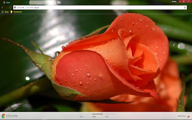 Chrome ウェブストアの Earth Rose Red を OffiDocs Chromium オンラインで実行