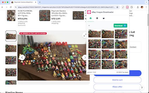 eBay Image Downloader  from Chrome web store to be run with OffiDocs Chromium online