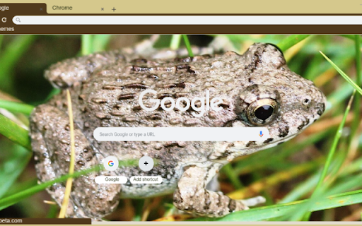Ech  from Chrome web store to be run with OffiDocs Chromium online