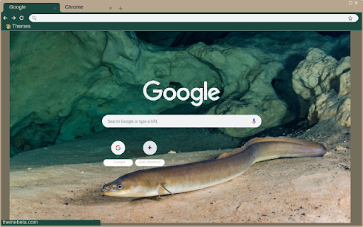 Eel  from Chrome web store to be run with OffiDocs Chromium online