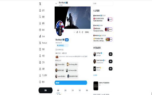 EEye  from Chrome web store to be run with OffiDocs Chromium online