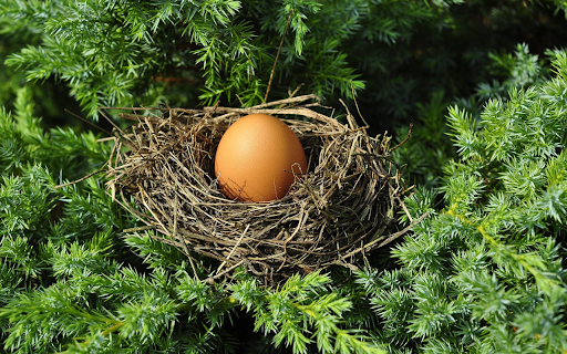 Eggs in the nest  from Chrome web store to be run with OffiDocs Chromium online