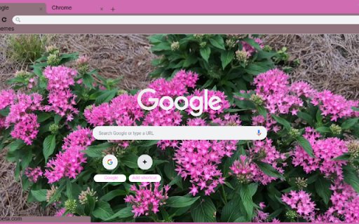 Egyptian Star Cluster  from Chrome web store to be run with OffiDocs Chromium online