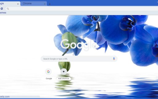 Electric Blue Orchid Macro  from Chrome web store to be run with OffiDocs Chromium online