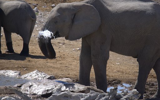 Elephant and trunk  from Chrome web store to be run with OffiDocs Chromium online