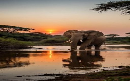 Elephant at sunset wallpaper from Chrome web store to be run with OffiDocs Chromium online Elephant at sunset wallpaper from Chrome web store to be run with OffiDocs Chromium online