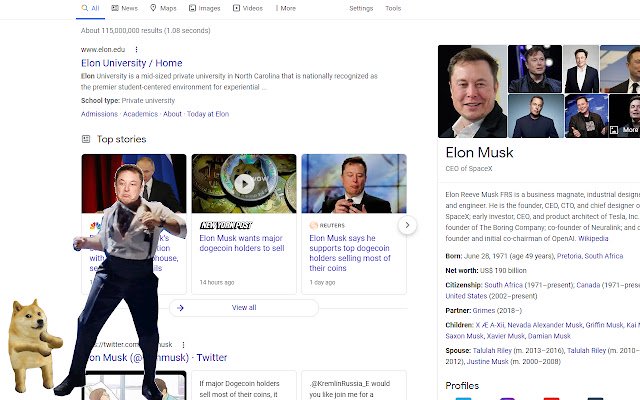 Elons Extension: Dogecoin Edition  from Chrome web store to be run with OffiDocs Chromium online