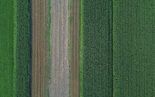 Endless fields  from Chrome web store to be run with OffiDocs Chromium online Endless fields  from Chrome web store to be run with OffiDocs Chromium online