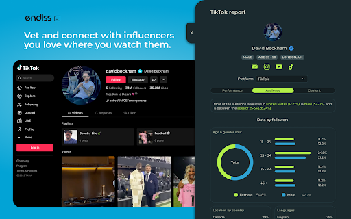 Endlss  from Chrome web store to be run with OffiDocs Chromium online