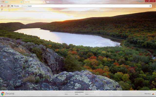 Chrome ウェブストアからの Engage Nature を OffiDocs Chromium オンラインで実行