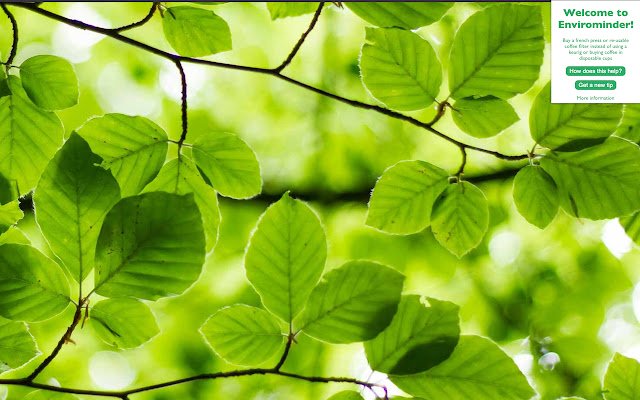 Envirominder  from Chrome web store to be run with OffiDocs Chromium online