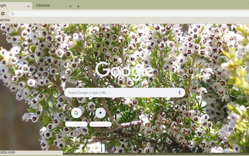 Erica  from Chrome web store to be run with OffiDocs Chromium online