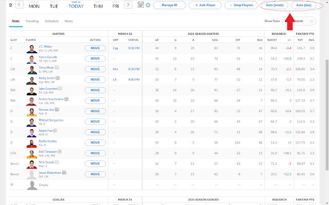 ESPN NHL Fantasy Team Auto Setup  from Chrome web store to be run with OffiDocs Chromium online