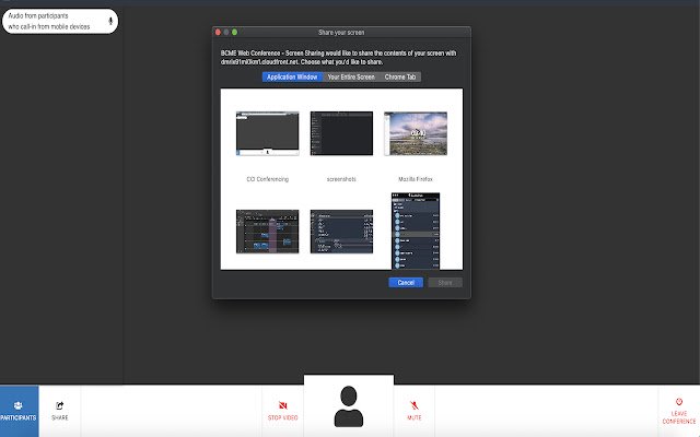 Eureka Video Web Conference การแชร์หน้าจอจาก Chrome เว็บสโตร์ที่จะเรียกใช้ด้วย OffiDocs Chromium ออนไลน์