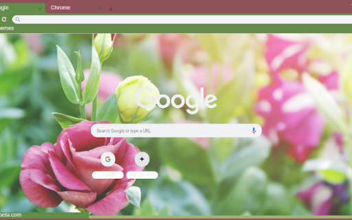 Eustoma  from Chrome web store to be run with OffiDocs Chromium online