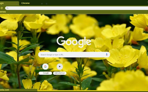 Evening Primrose  from Chrome web store to be run with OffiDocs Chromium online