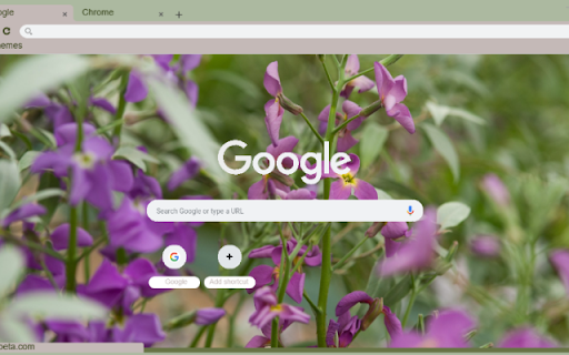 Evening Stock  from Chrome web store to be run with OffiDocs Chromium online