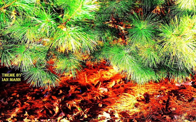 Evergreen Bow 2  from Chrome web store to be run with OffiDocs Chromium online