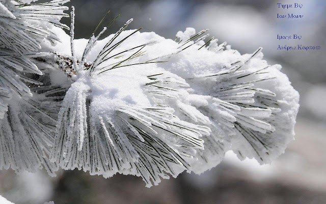 Evergreen Bow: Winter ze sklepu internetowego Chrome można uruchamiać w trybie online za pomocą OffiDocs Chromium