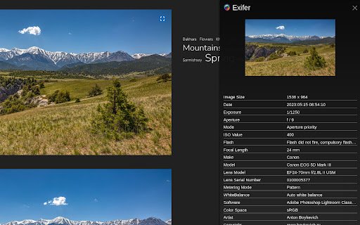 Exifer  from Chrome web store to be run with OffiDocs Chromium online