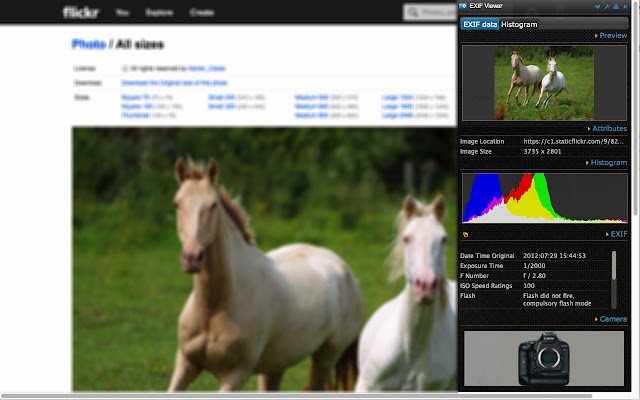 EXIF Viewer Pro ze sklepu internetowego Chrome do uruchomienia z OffiDocs Chromium online