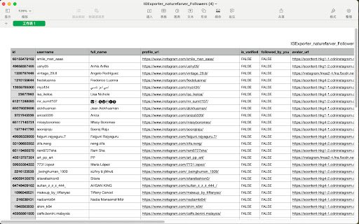 Export IG Followers Following  from Chrome web store to be run with OffiDocs Chromium online