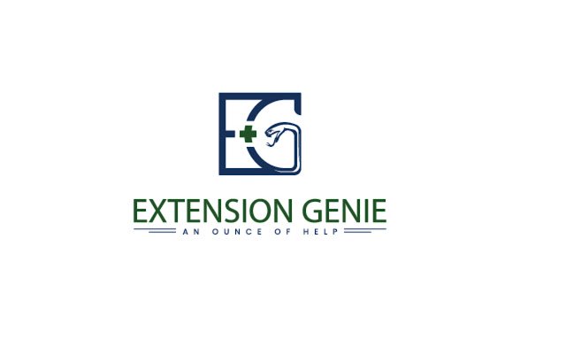 Extension Genie  from Chrome web store to be run with OffiDocs Chromium online