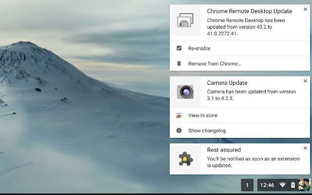 Extensions Update Notifier  from Chrome web store to be run with OffiDocs Chromium online