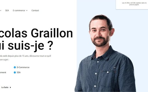 Extraire les URLs  from Chrome web store to be run with OffiDocs Chromium online