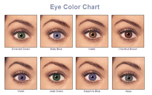 Eye Color Calculator Tool  from Chrome web store to be run with OffiDocs Chromium online