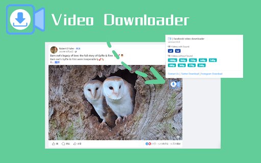 Facebook video downloader VidSaver.io  from Chrome web store to be run with OffiDocs Chromium online